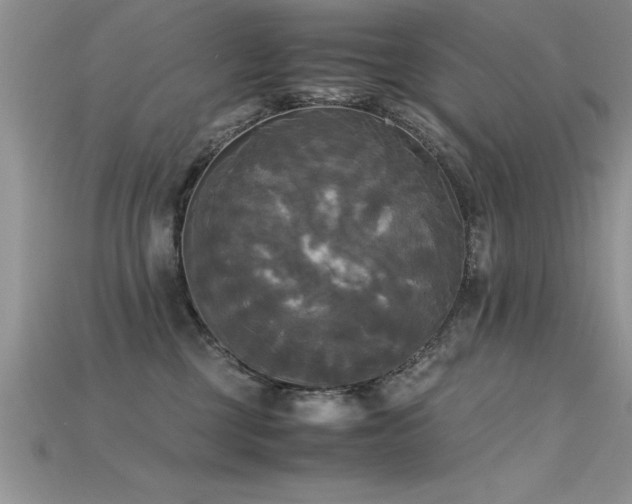 X0000115660377200911121219