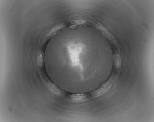 X0000115660378200911121219
