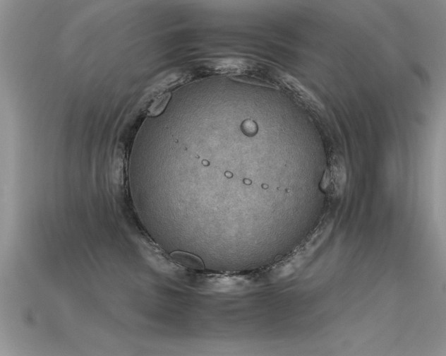 X0000115660379200911121219