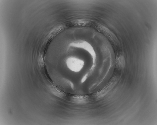 X0000115660381200911121219