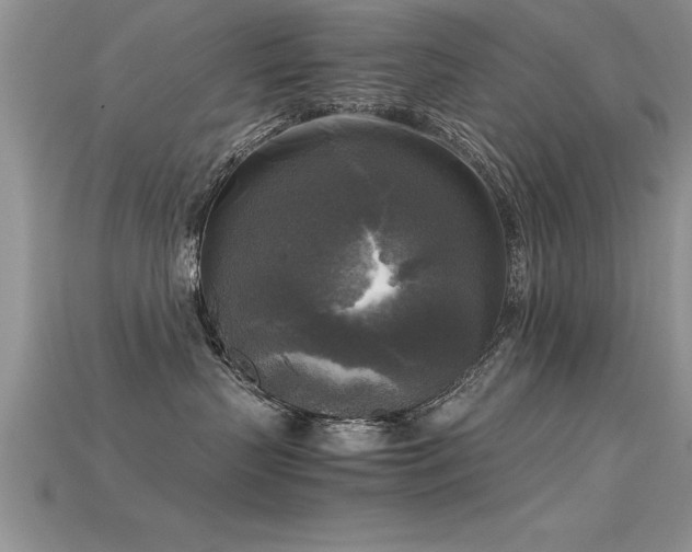 X0000115660383200911121219