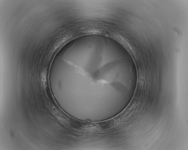 X0000115660386200911121218