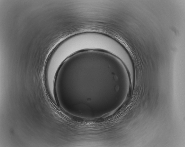 X0000115660387200911121218