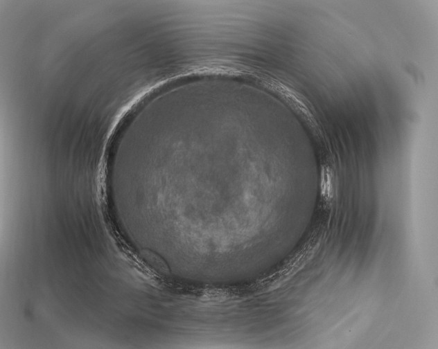 X0000115660388200911121218
