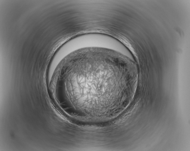 X0000115660389200911121218