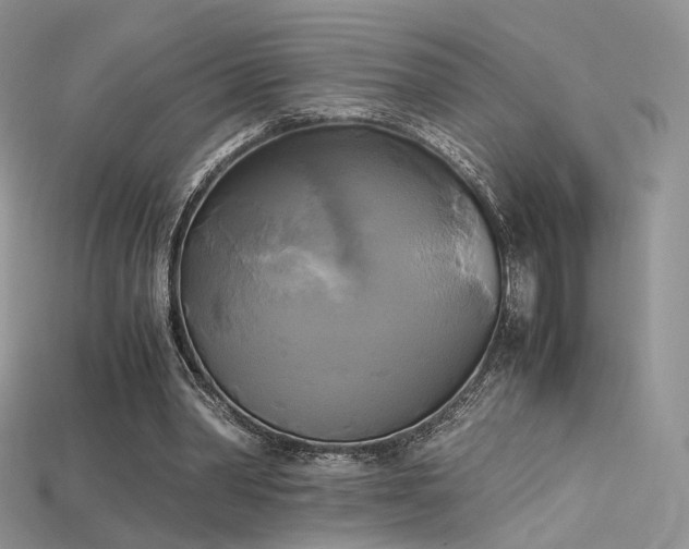 X0000115660390200911121218