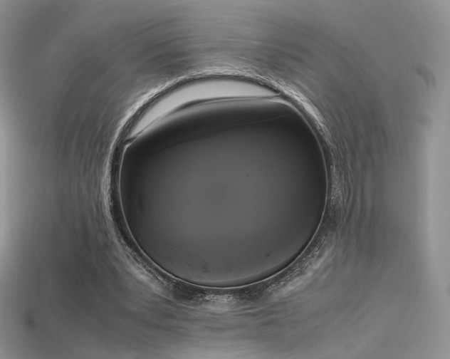 X0000115660391200911121218