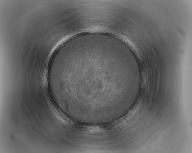 X0000115660392200911121218
