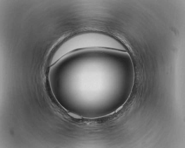 X0000115660395200911121218