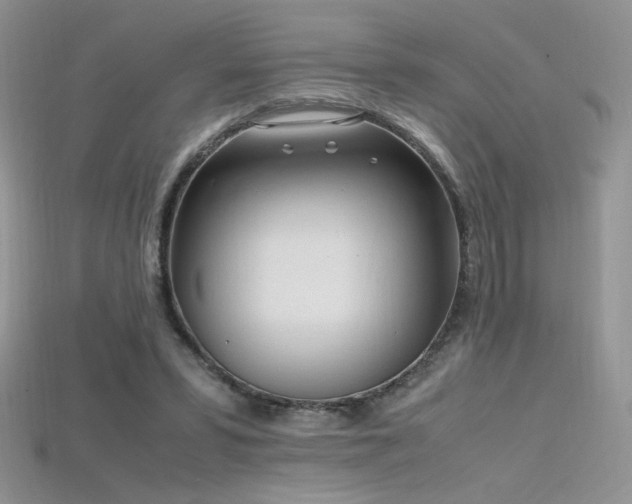 X0000115660399200911121218