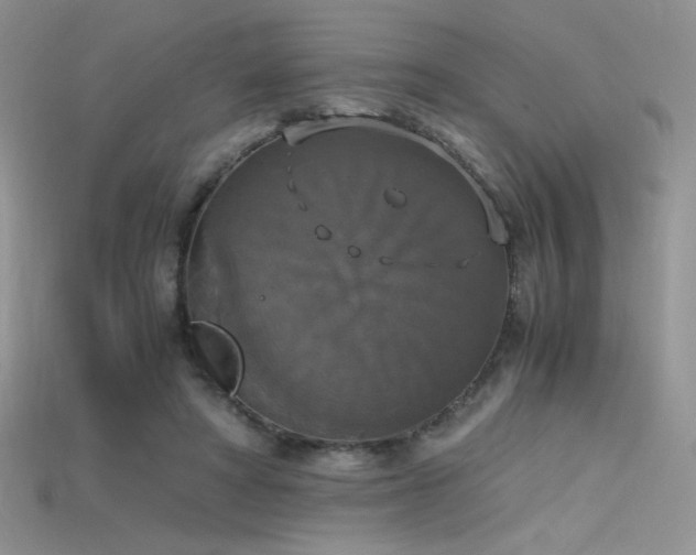 X0000115660402200911121218