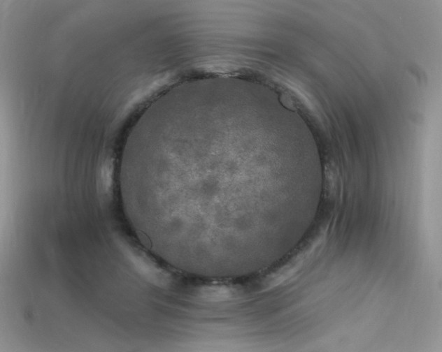 X0000115660404200911121218