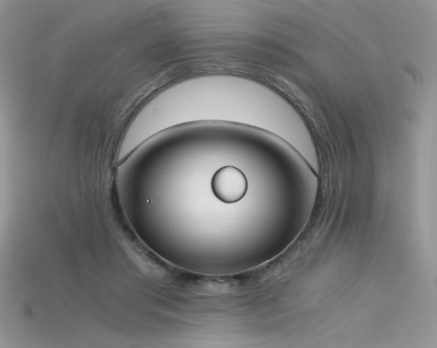 X0000115660405200911121218