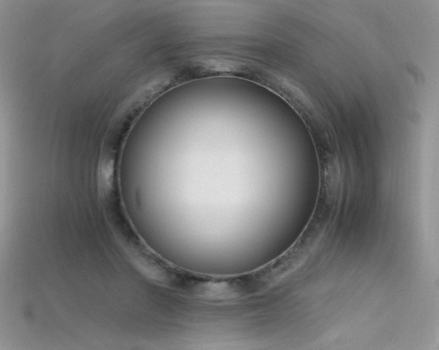 X0000115660406200911121218
