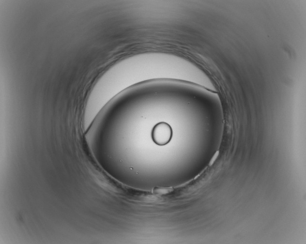 X0000115660409200911121218