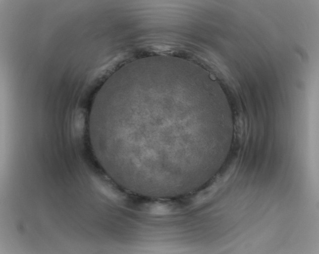 X0000115660412200911121218
