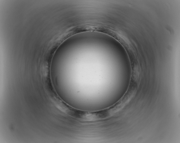 X0000115660413200911121217
