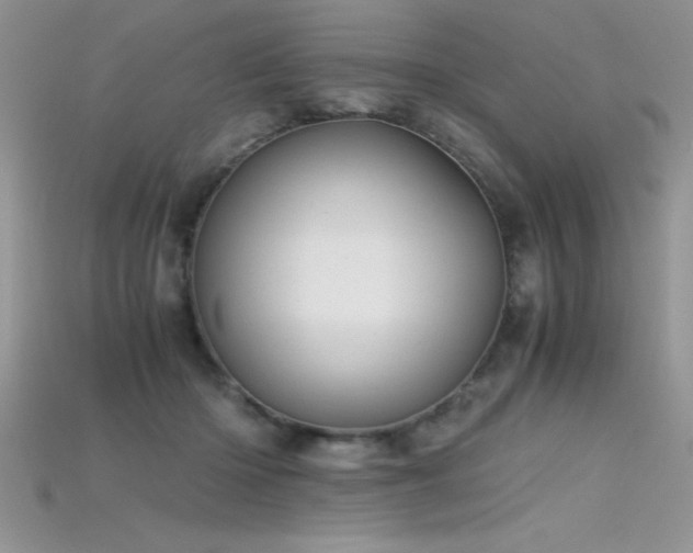X0000115660414200911121217