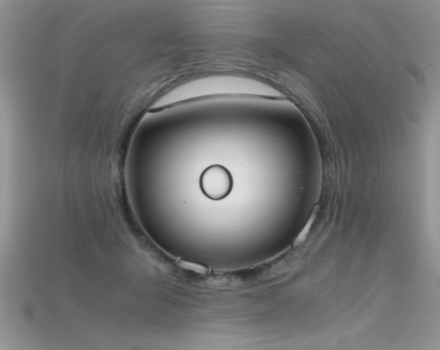 X0000115660415200911121217