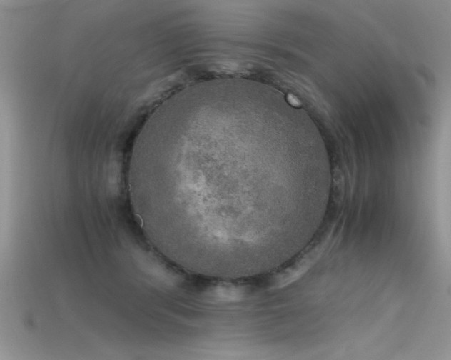 X0000115660416200911121217