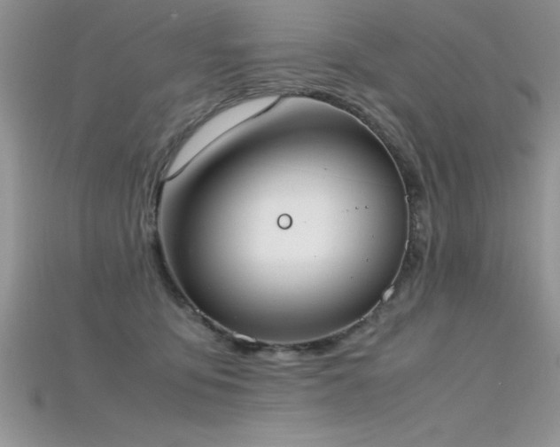 X0000115660419200911121217