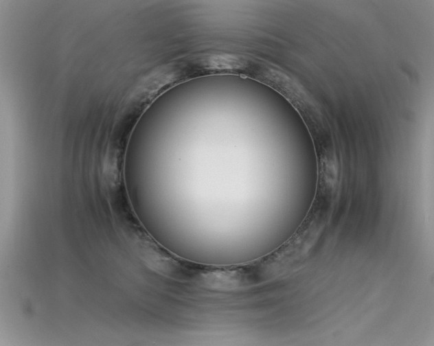 X0000115660422200911121217