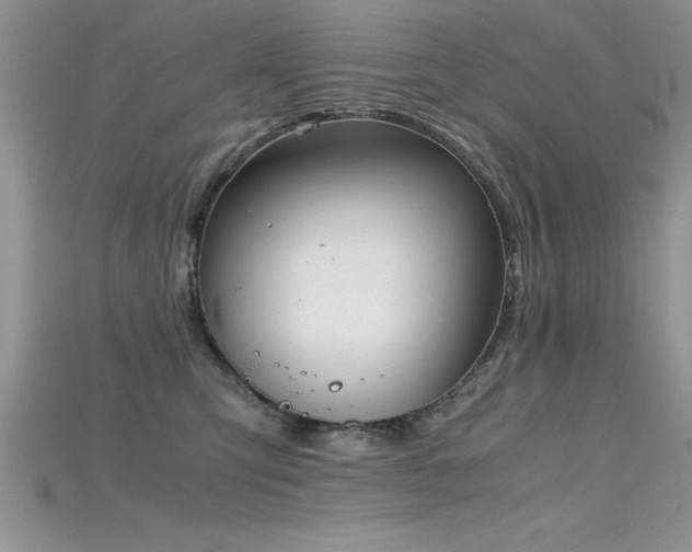 X0000115660423200911121217