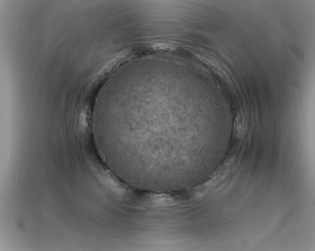 X0000115660424200911121217
