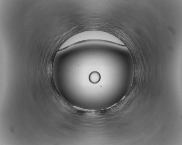 X0000115660425200911121217