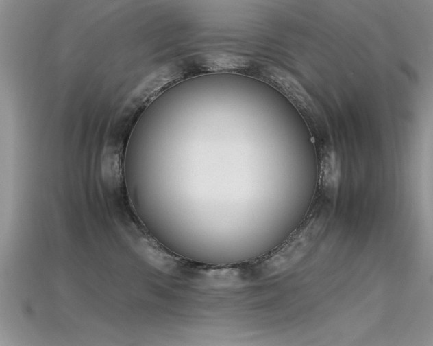 X0000115660426200911121217