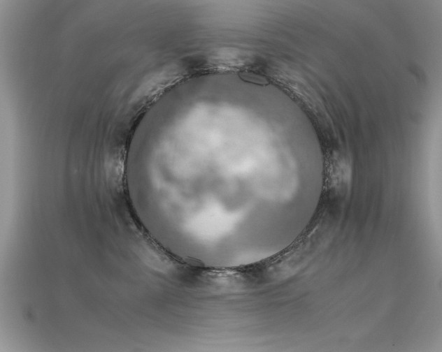 X0000115660427200911121217