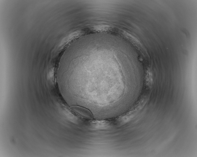 X0000115660428200911121217