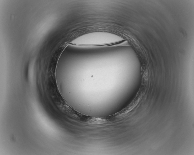 X0000115660429200911121217