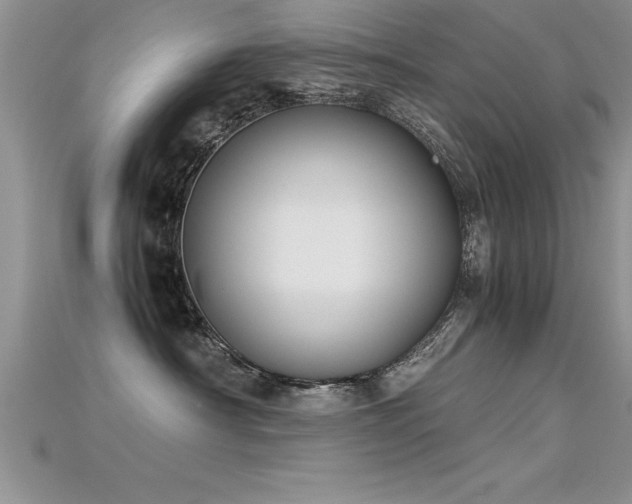 X0000115660430200911121217