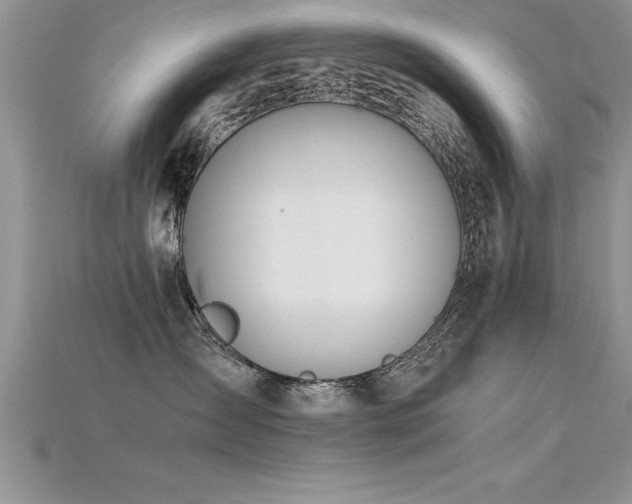 X0000115660431200911121217