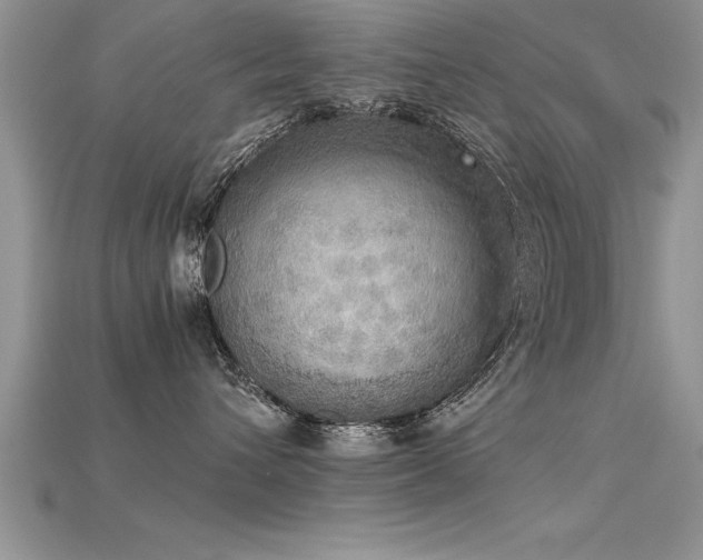 X0000115660432200911121217
