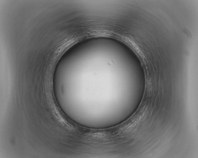 X0000115660433200911121217