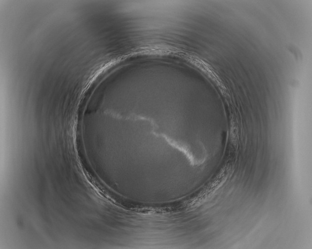 X0000115660434200911121217