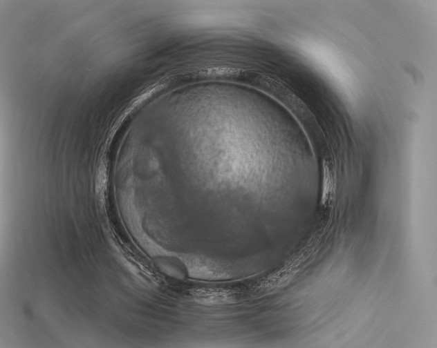 X0000115660435200911121217