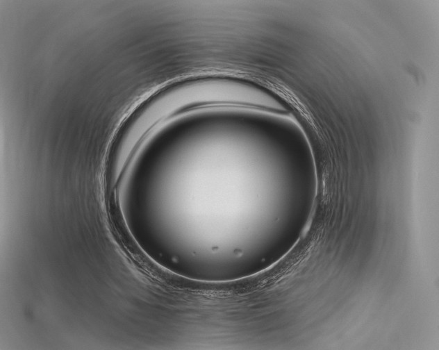 X0000115660436200911121217