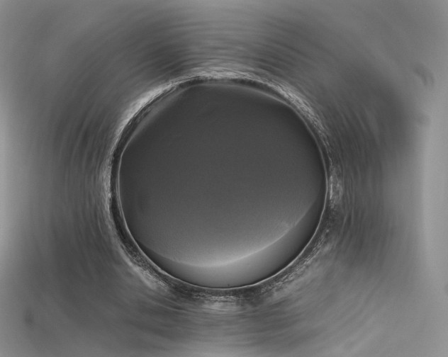 X0000115660438200911121217