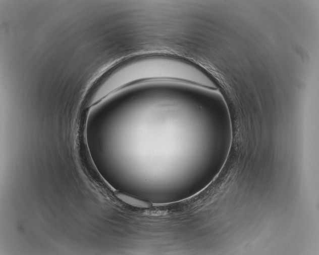 X0000115660440200911121217