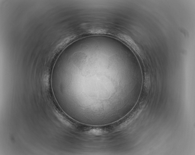 X0000115660441200911121217