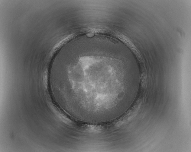X0000115660442200911121217