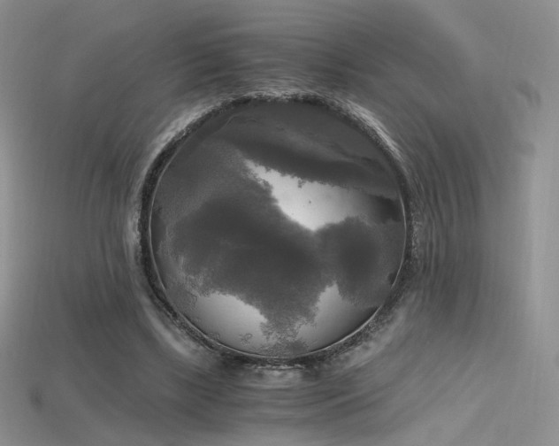 X0000115660443200911121217