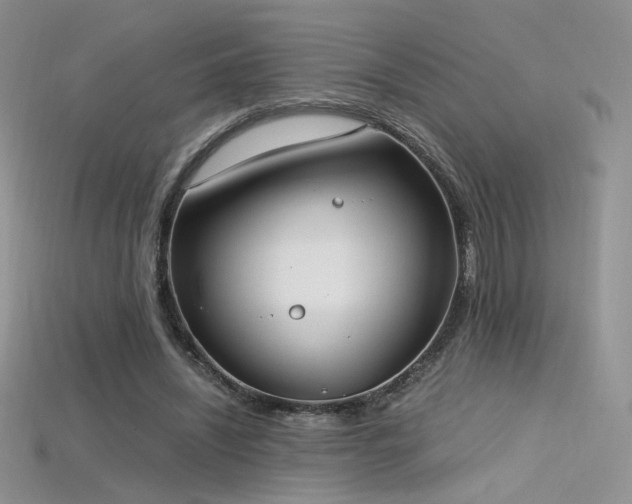 X0000115660444200911121217