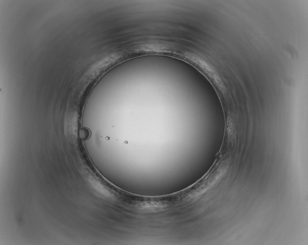 X0000115660445200911121217