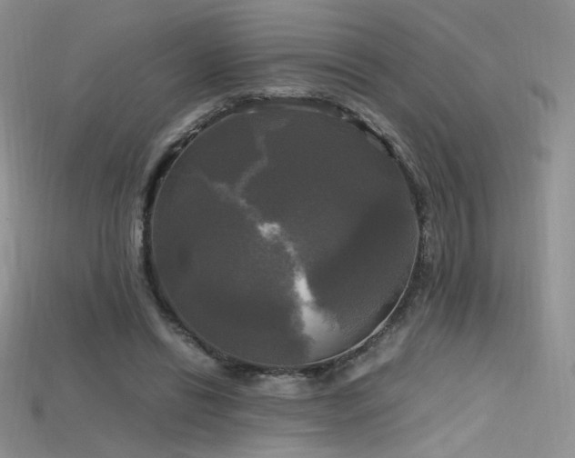 X0000115660446200911121217