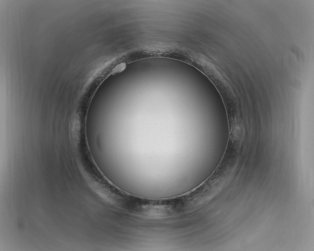 X0000115660448200911121217
