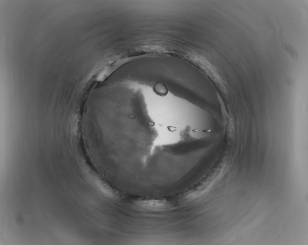 X0000115660449200911121217